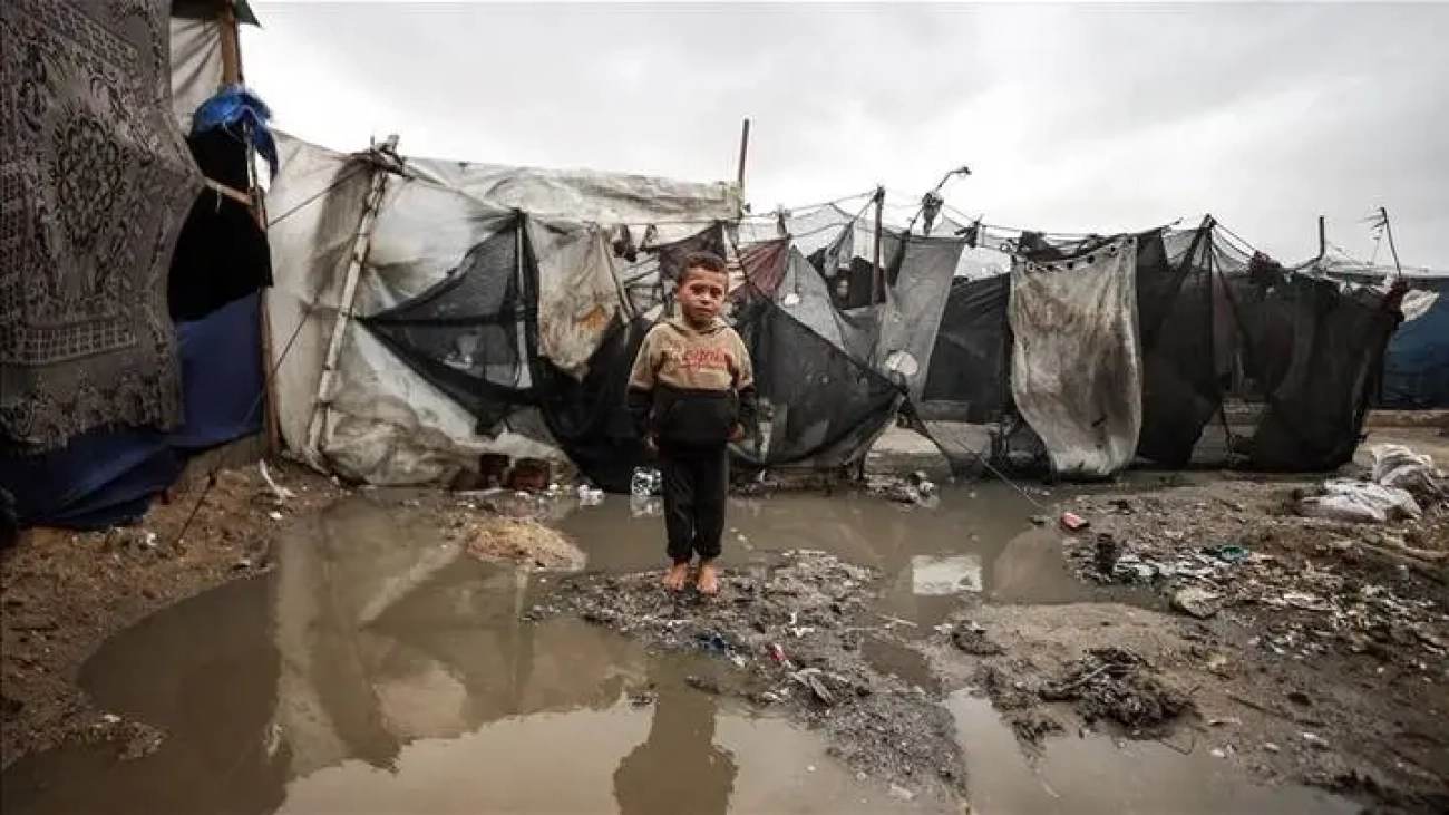 gaza-rain-tents