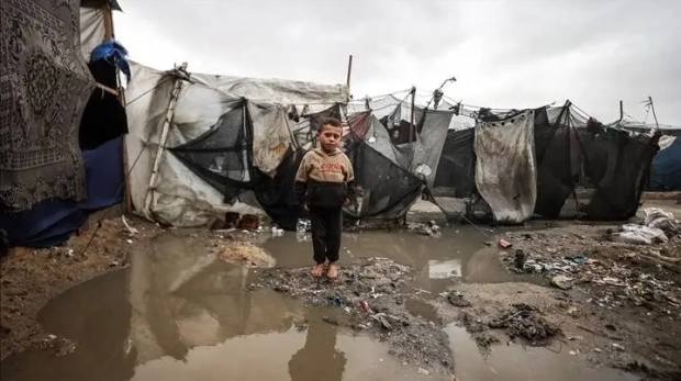 gaza-rain-tents